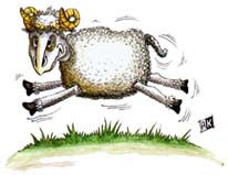 Гороскоп Овца